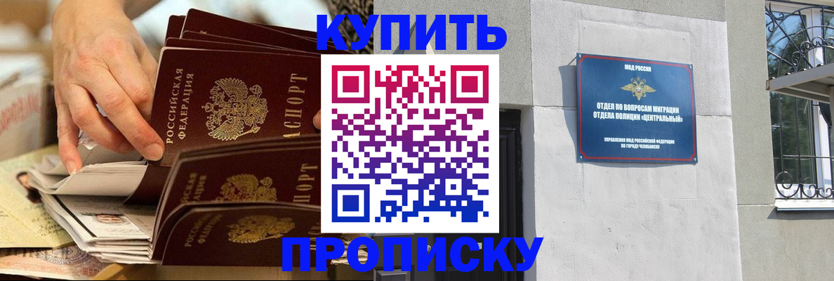 прописка законно в Сураже